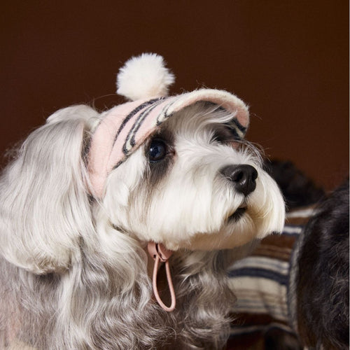 Pet Accessories Striped Fur Ball Hat